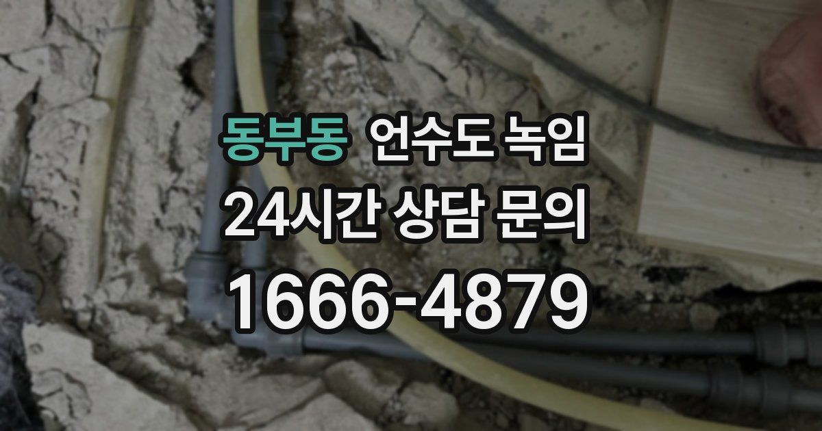 동부동 언수도 녹임