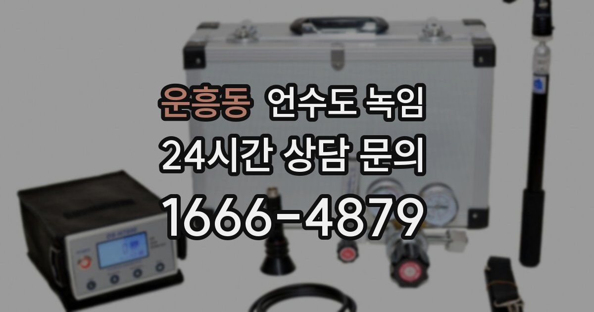 운흥동 언수도 녹임