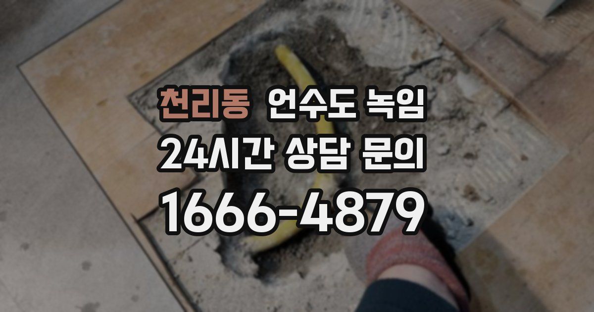 천리동 언수도 녹임