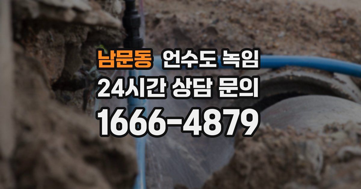 남문동 언수도 녹임