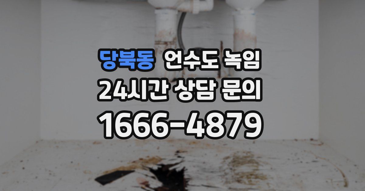 당북동 언수도 녹임