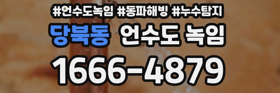 당북동 언수도 녹임