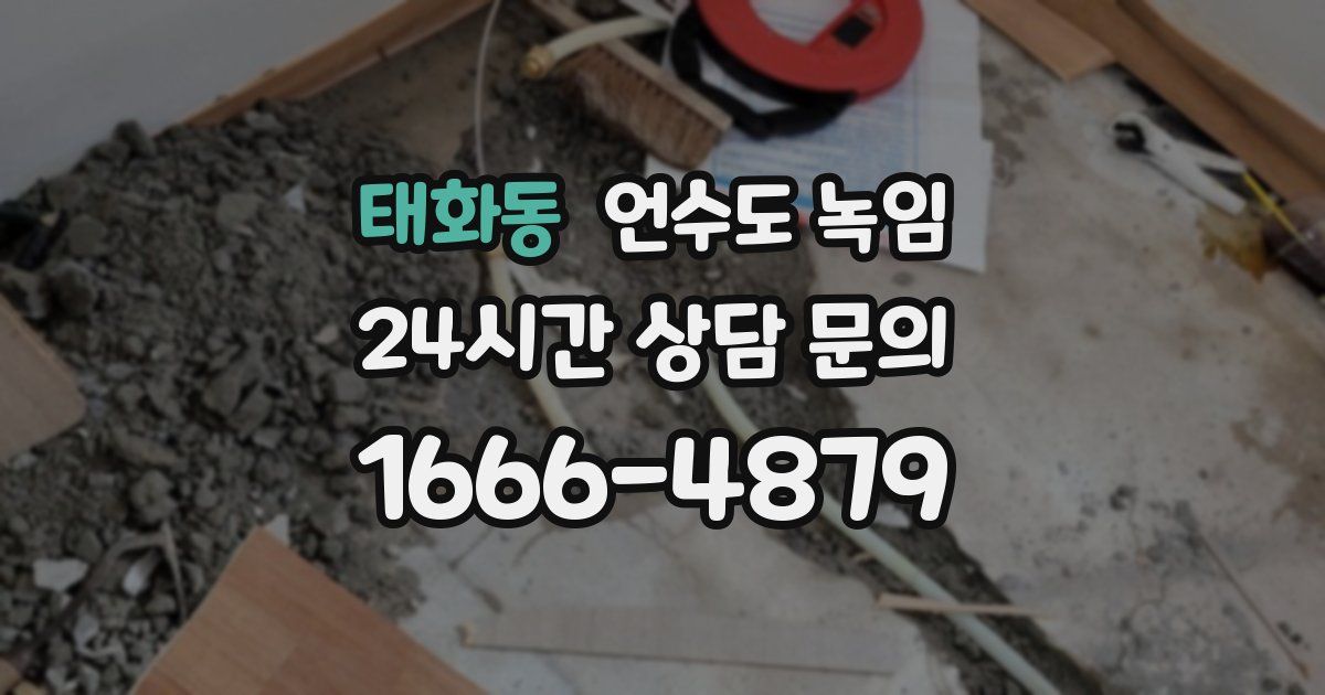 태화동 언수도 녹임