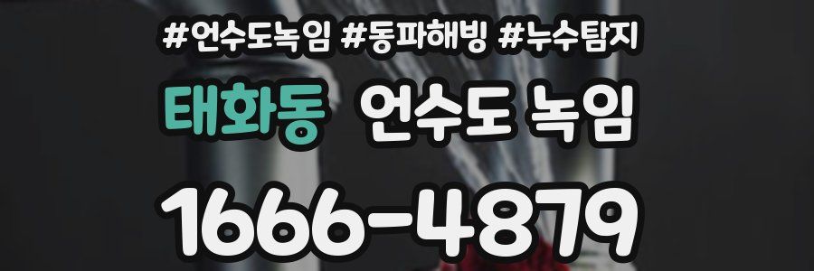 태화동 언수도 녹임