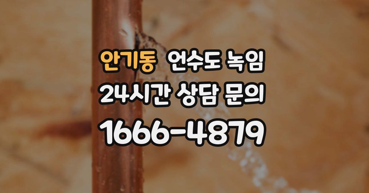 안기동 언수도 녹임