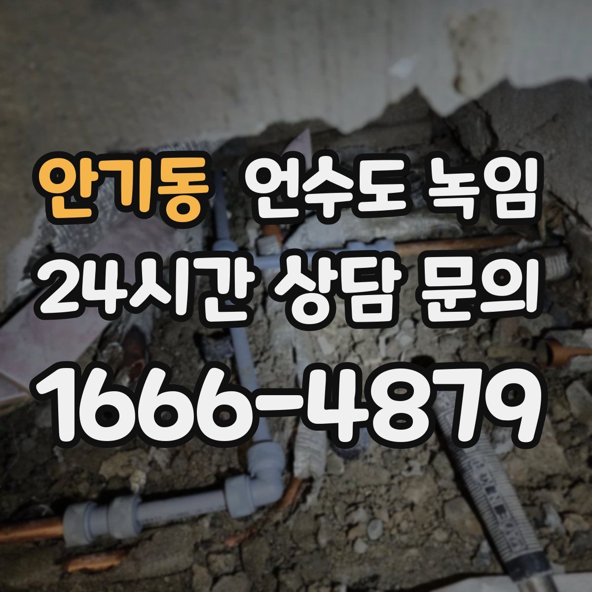 안기동 언수도 녹임