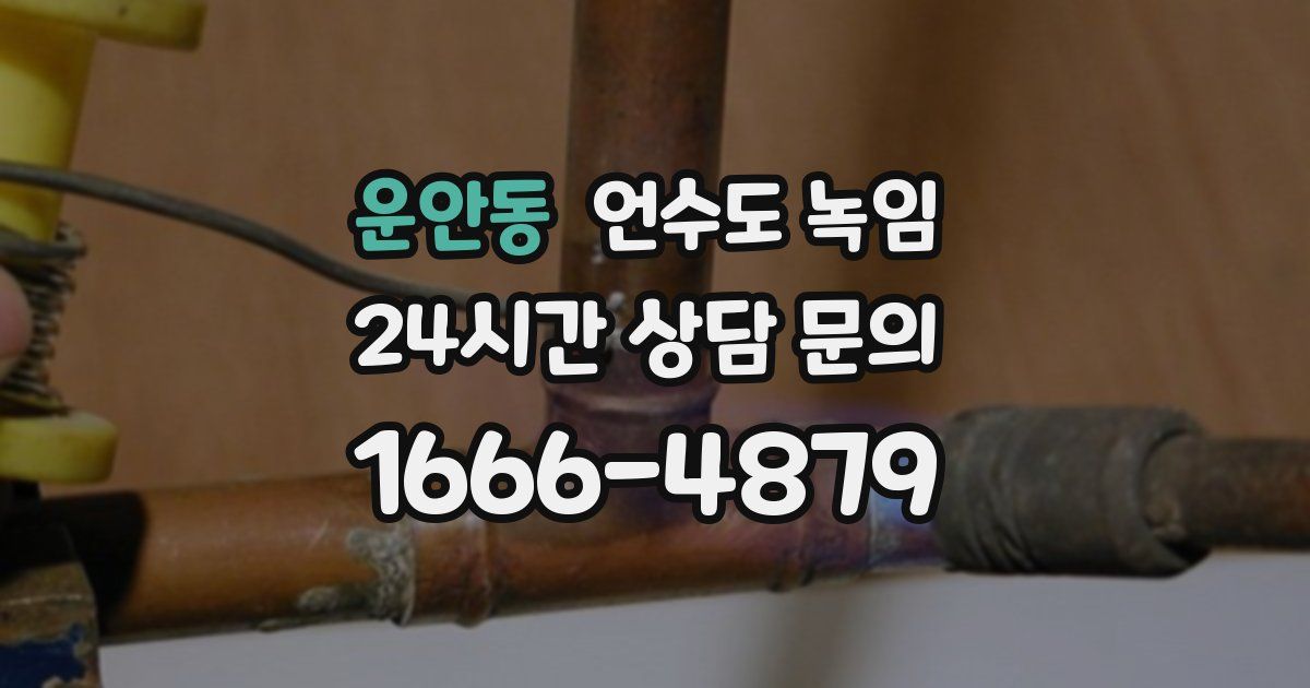 운안동 언수도 녹임