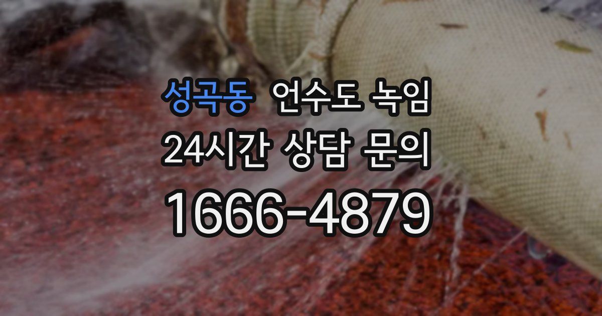 성곡동 언수도 녹임