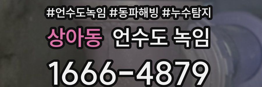 상아동 언수도 녹임