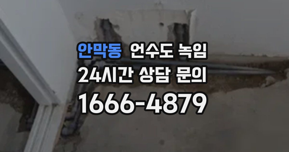 안막동 언수도 녹임