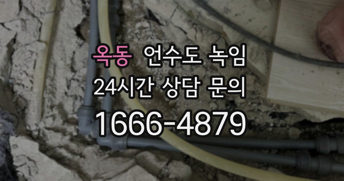 옥동 언수도 녹임