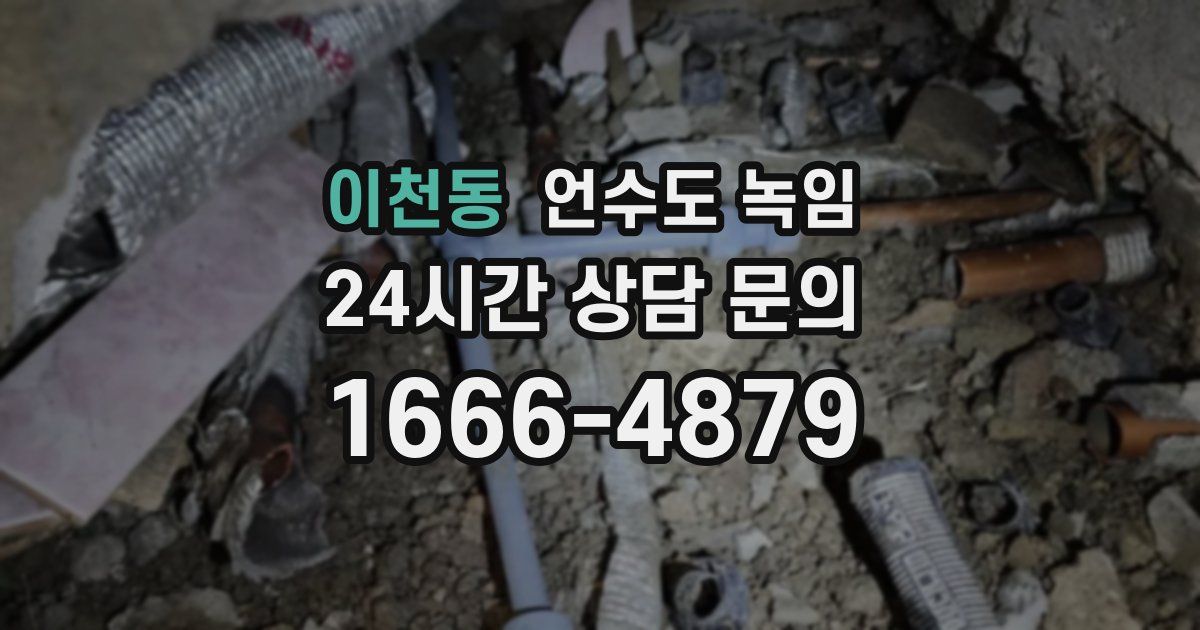 이천동 언수도 녹임