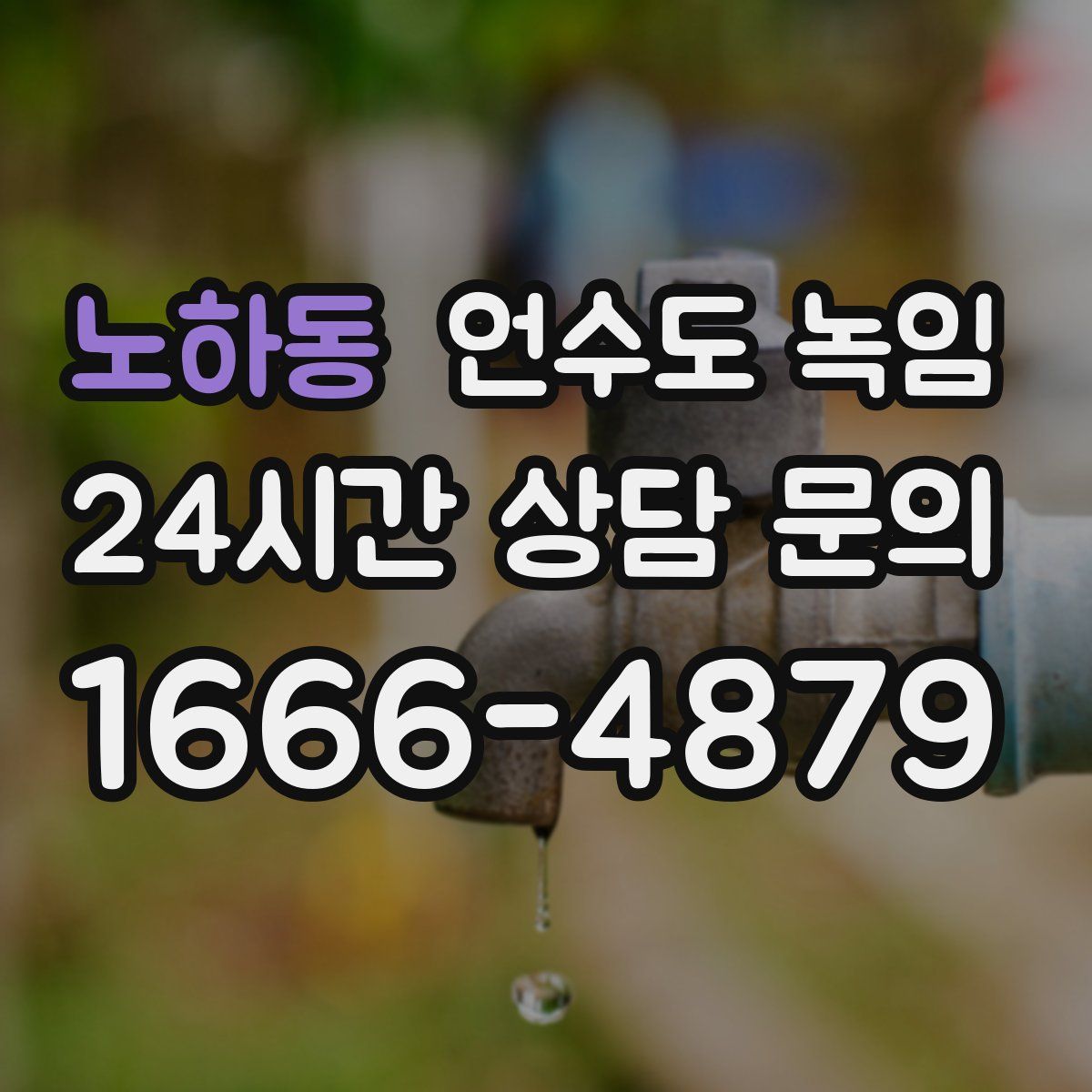 노하동 언수도 녹임