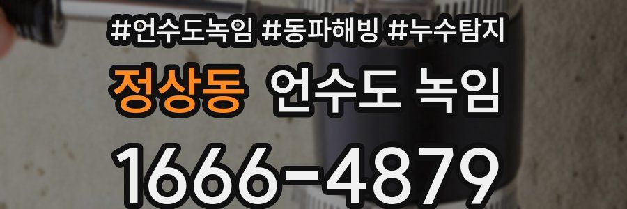 정상동 언수도 녹임