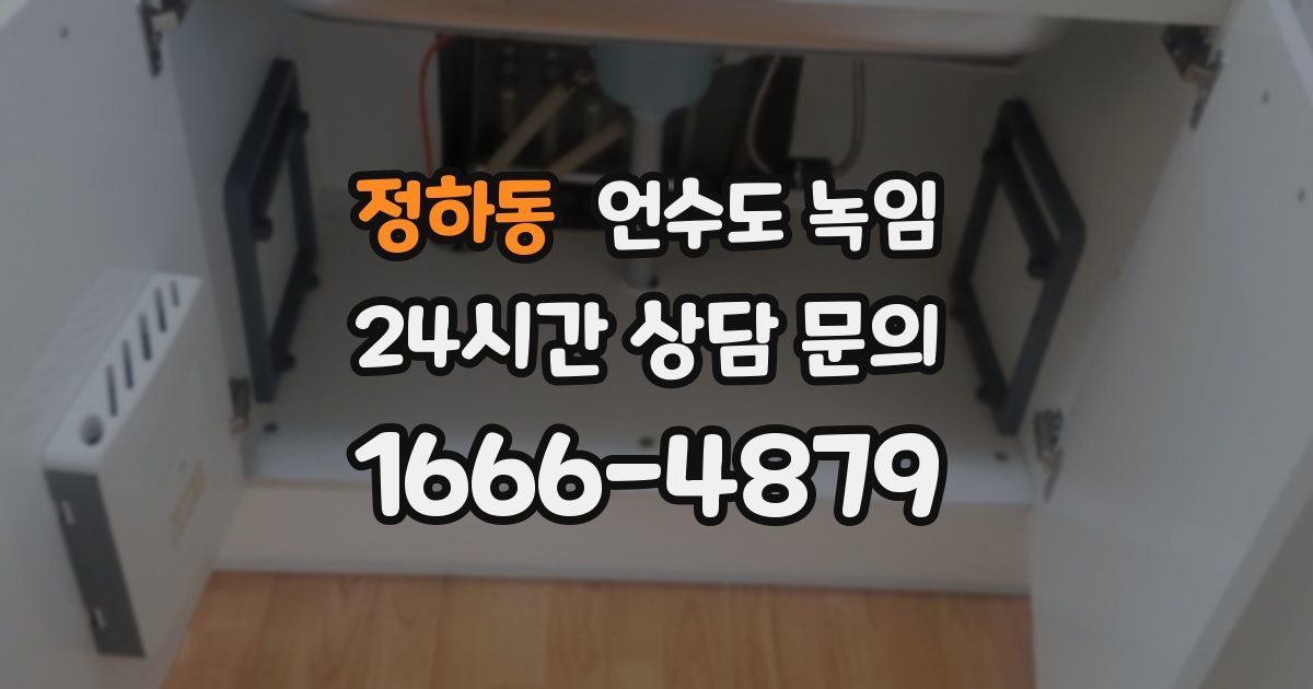 정하동 언수도 녹임