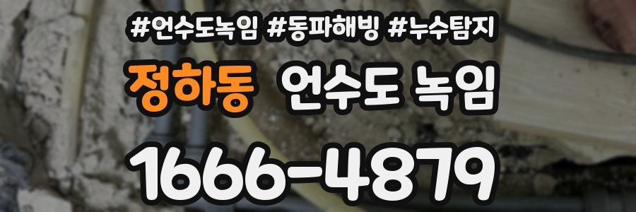 정하동 언수도 녹임