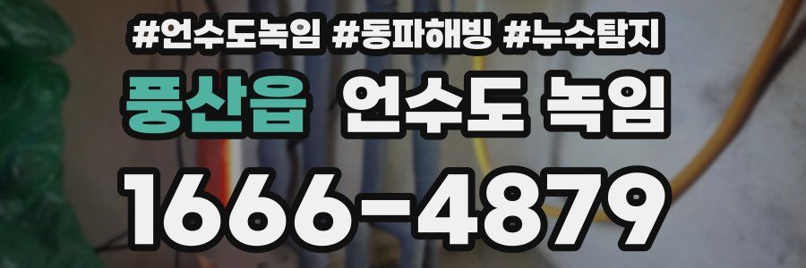 풍산읍 언수도 녹임