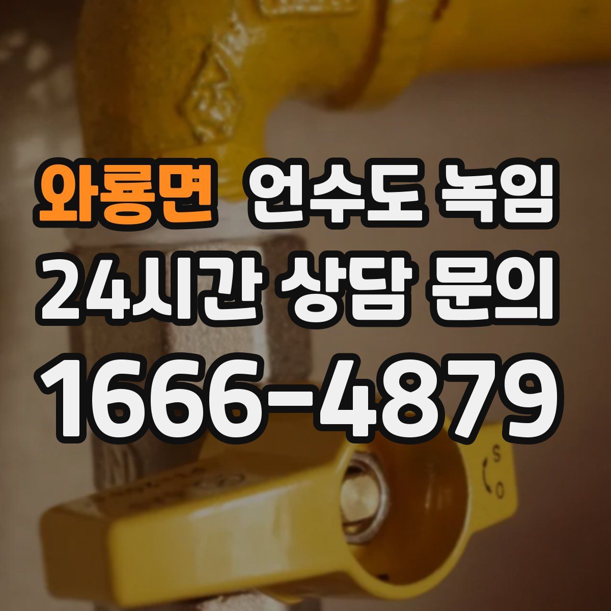 와룡면 언수도 녹임