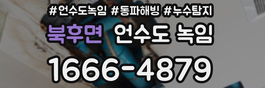 북후면 언수도 녹임