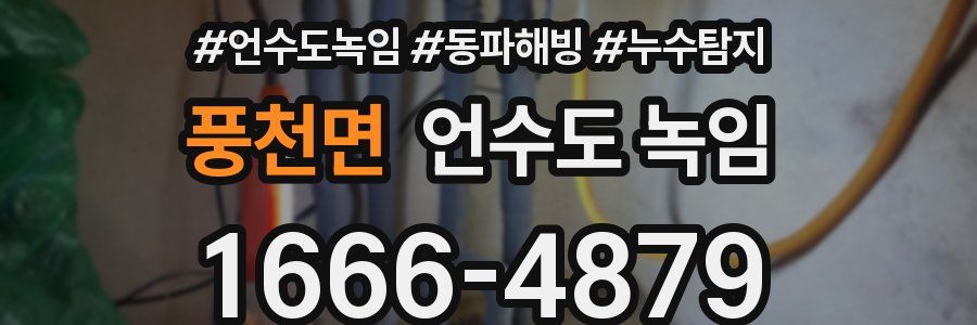 풍천면 언수도 녹임