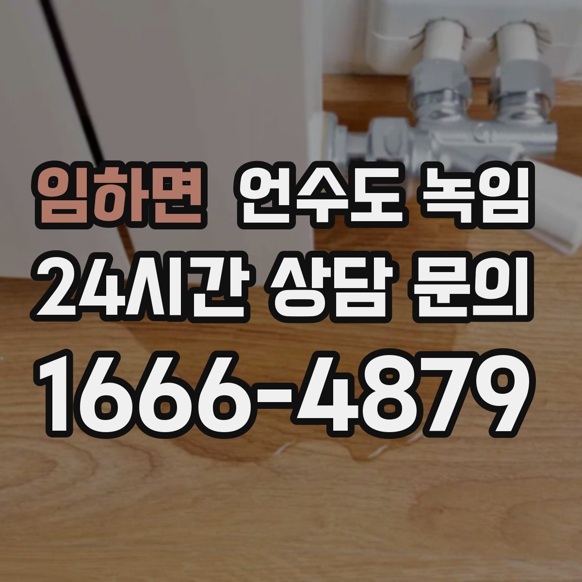 임하면 언수도 녹임