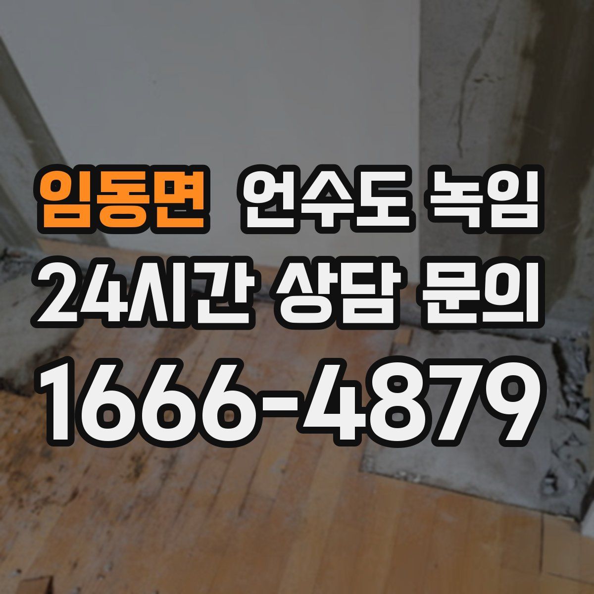 임동면 언수도 녹임