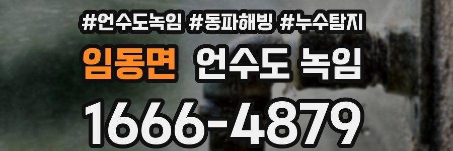 임동면 언수도 녹임