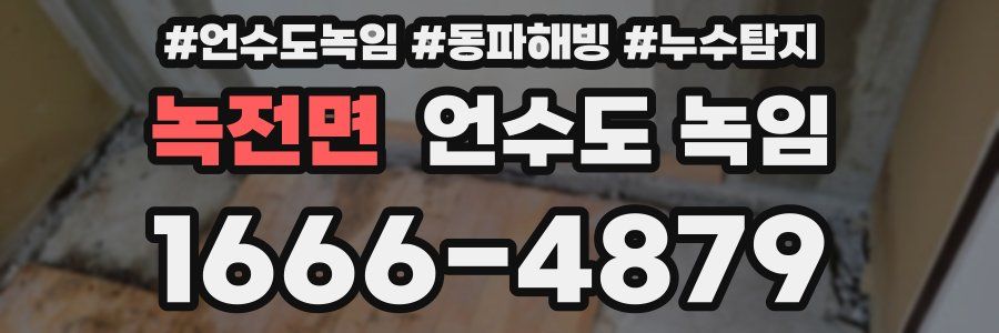 녹전면 언수도 녹임