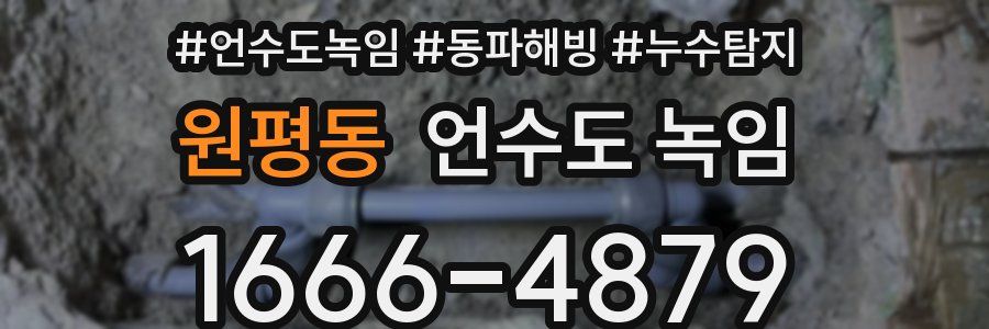 원평동 언수도 녹임