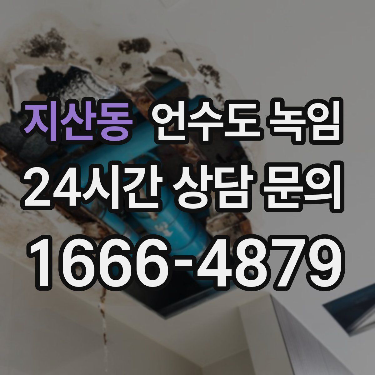 지산동 언수도 녹임