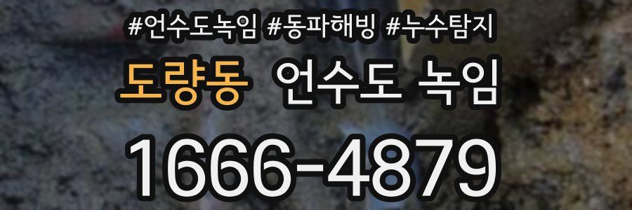 도량동 언수도 녹임