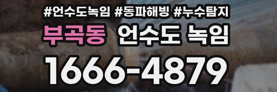 부곡동 언수도 녹임