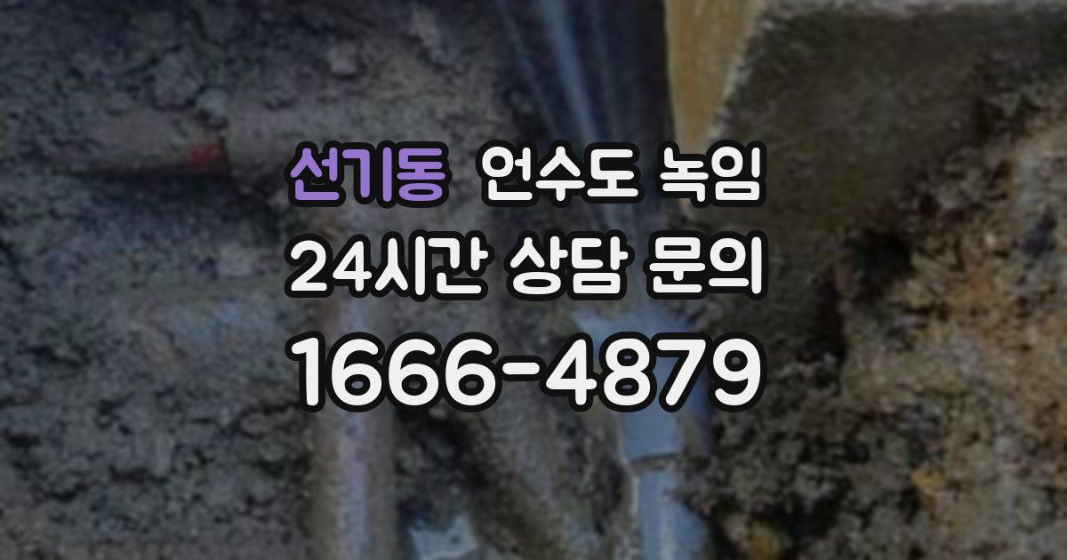 선기동 언수도 녹임