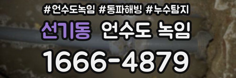 선기동 언수도 녹임