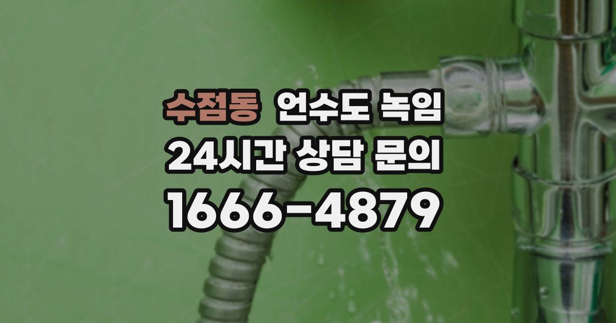 수점동 언수도 녹임