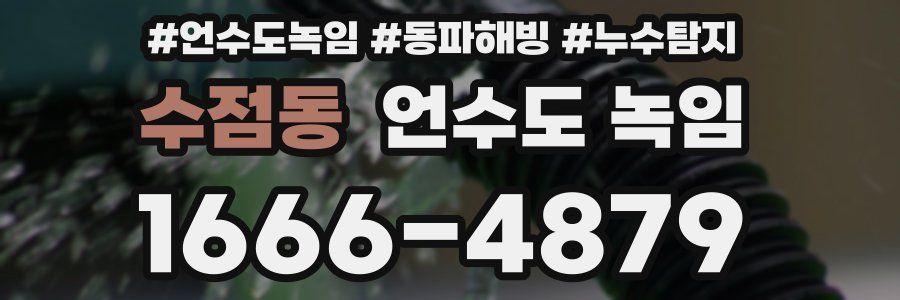 수점동 언수도 녹임