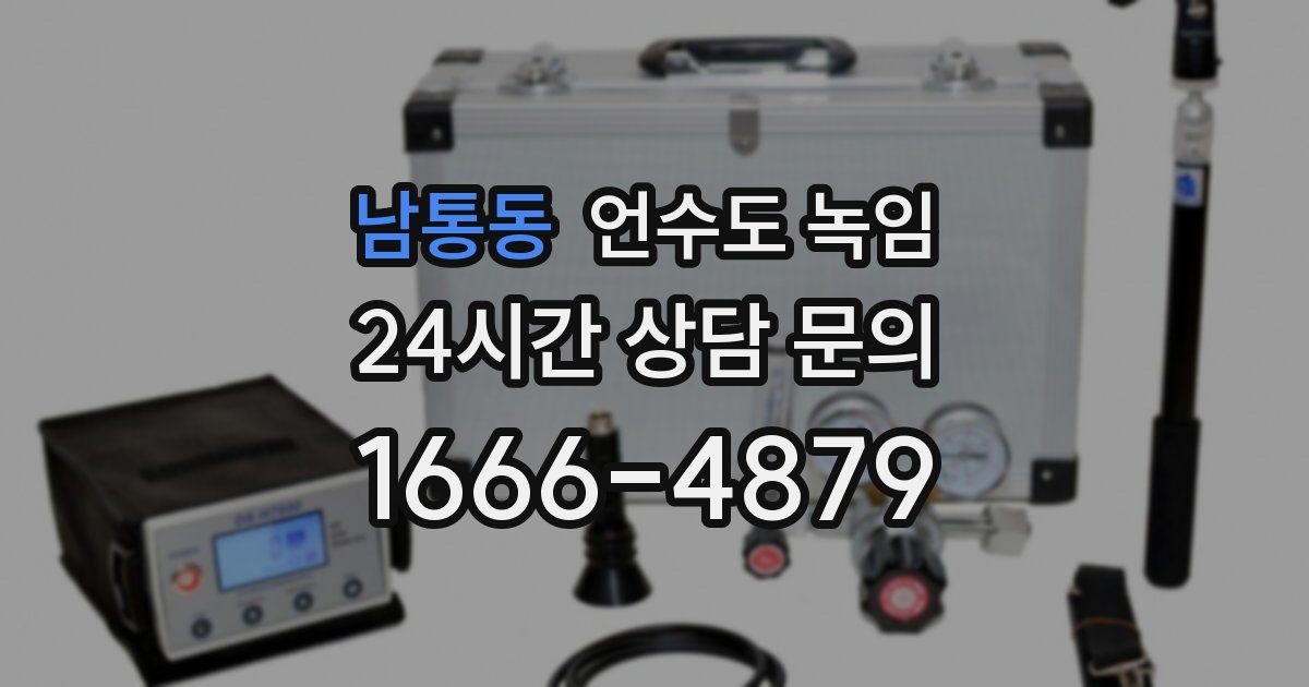 남통동 언수도 녹임