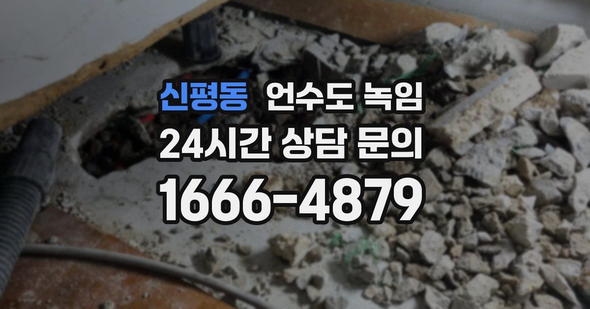 신평동 언수도 녹임