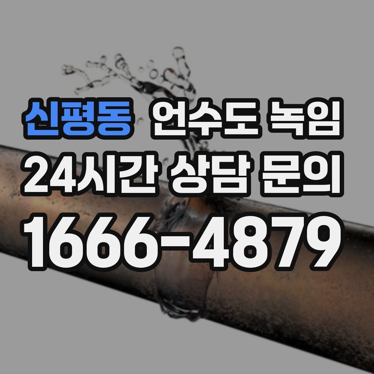 신평동 언수도 녹임