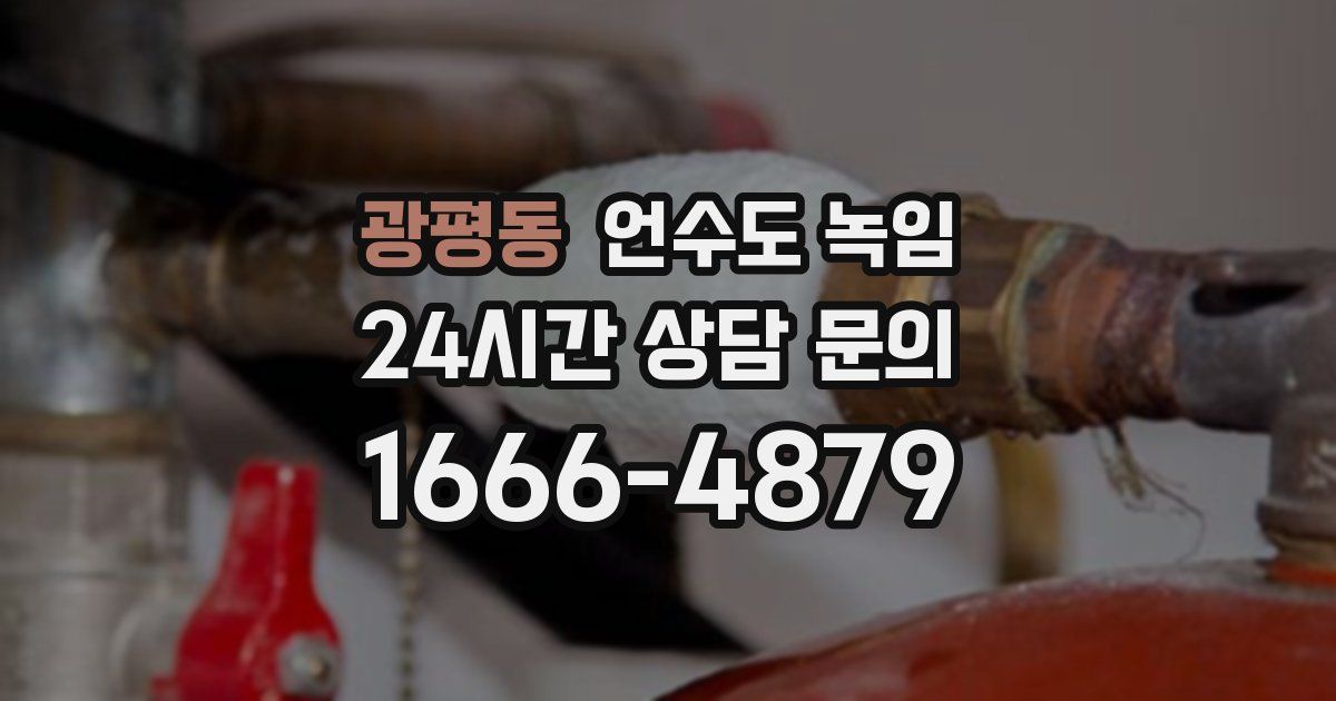 광평동 언수도 녹임