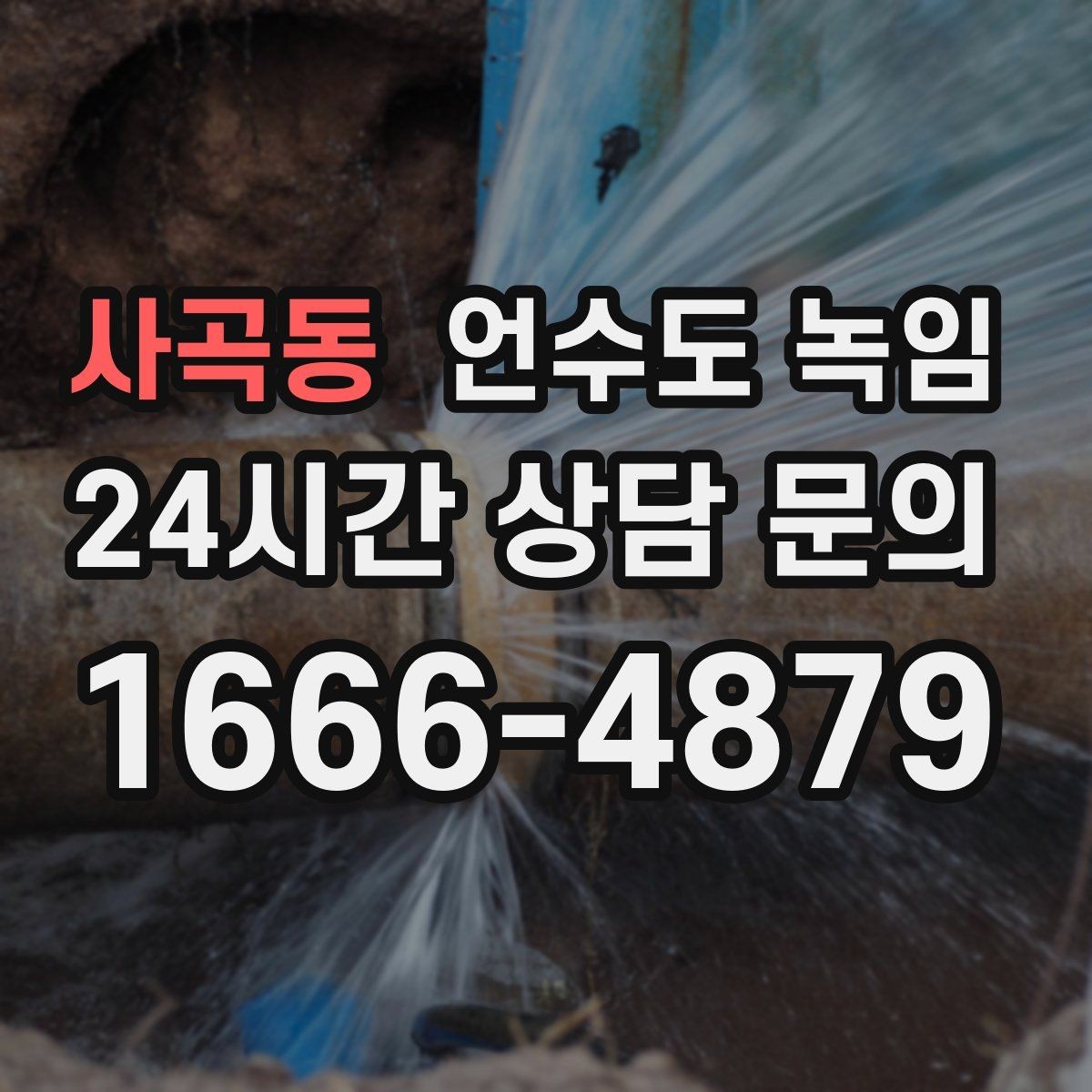 사곡동 언수도 녹임 언수도 관련 Q&A으로 정리한 해빙 QnA