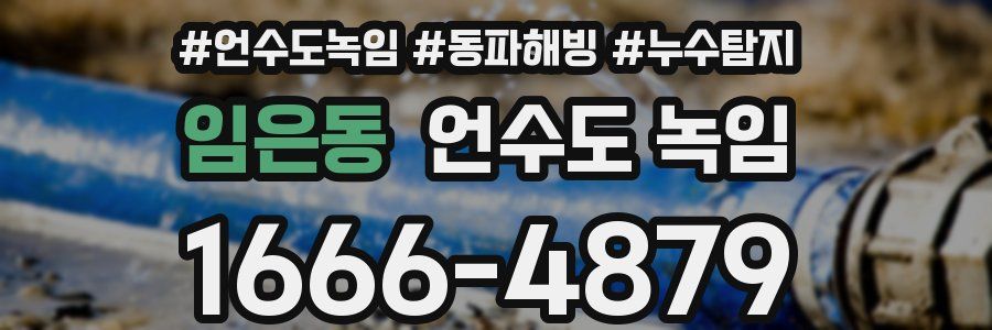 임은동 언수도 녹임