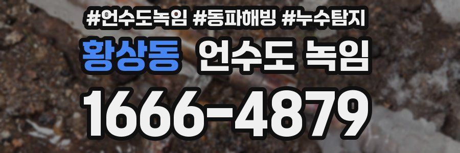 황상동 언수도 녹임