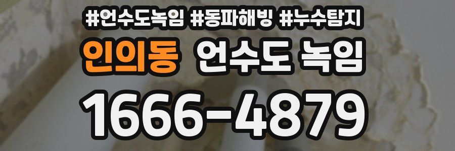 인의동 언수도 녹임