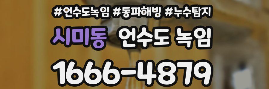 시미동 언수도 녹임