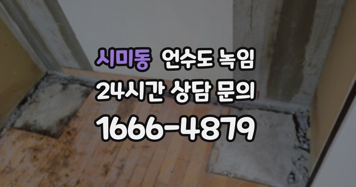 시미동 언수도 녹임