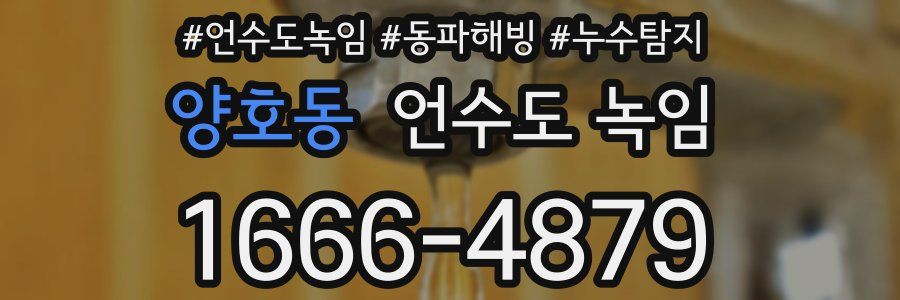 양호동 언수도 녹임