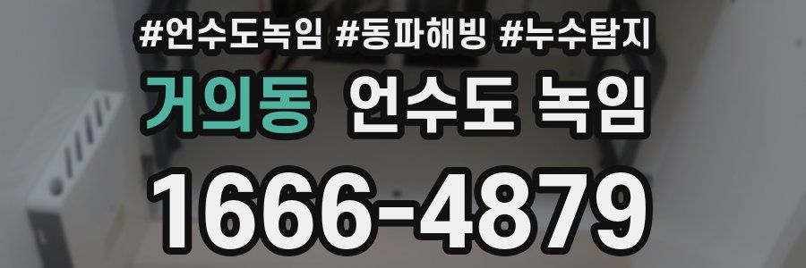 거의동 언수도 녹임