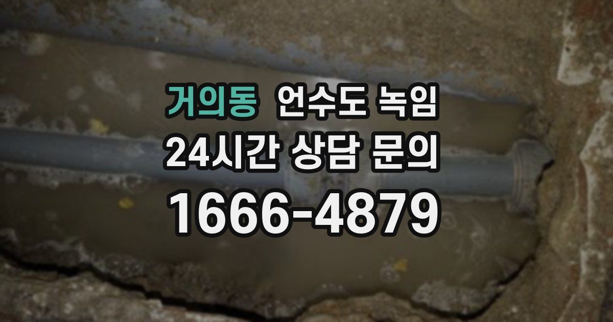 거의동 언수도 녹임