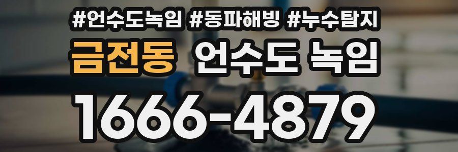 금전동 언수도 녹임